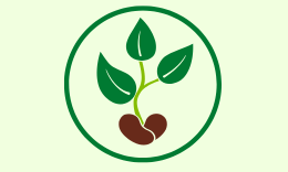 One Seed One Community