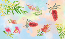 Spring Program