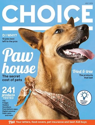 A picture of a magazine front page with a dog on the cover and a blue background